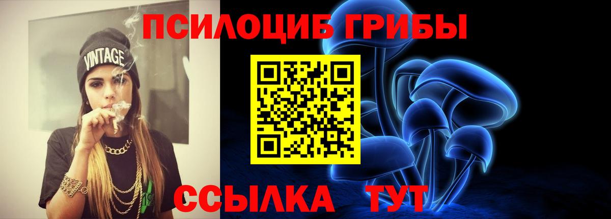 Галлюциногенные грибы Psilocybine cubensis Учалы